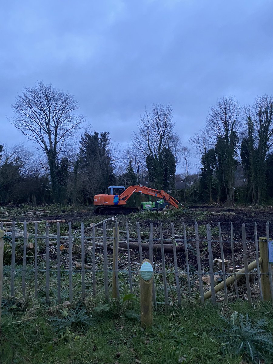 So disappointing that public funds were used to build a Greenway and then planning approved to destruct area on the Greenway and build a house <a href="/donegalcouncil/">Donegal County Council</a> . No trees spared. #muffgreenway #inishowen