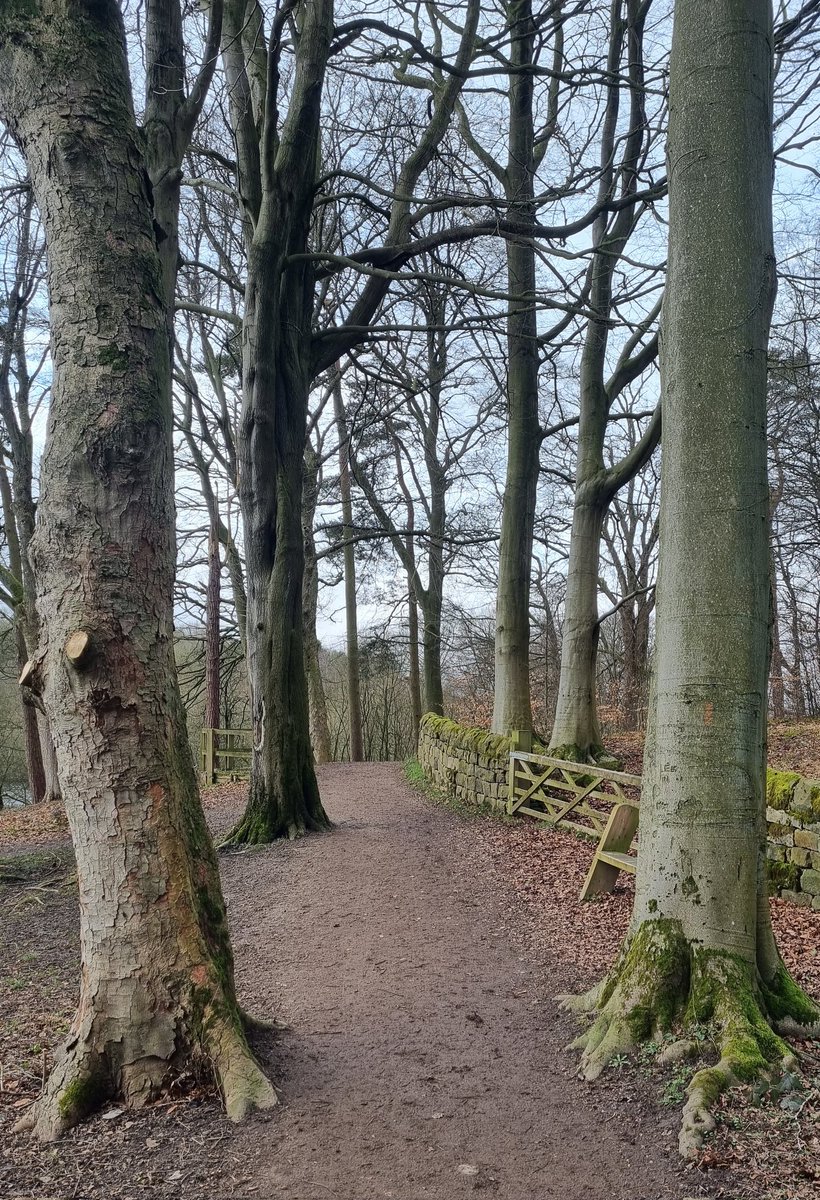 NickyLawImages's tweet photo. A lovely walk in the Washburn Valley today. Thank you to @Fewstonchurch for the delicious cake and tea en route! 🍰🫖
#Swinsty #Fewston https://t.co/6ZUpL3PLKT