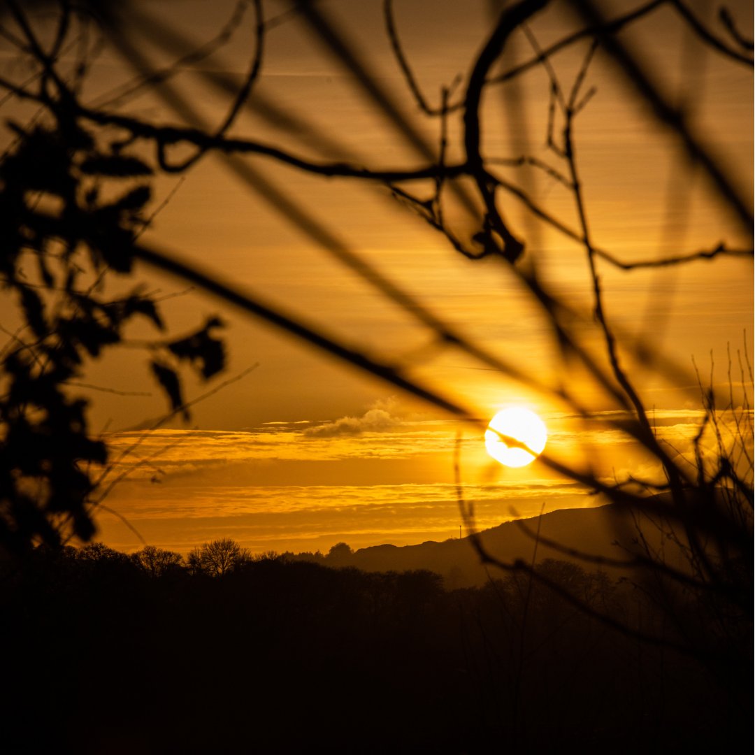 Golden hour at @Rhug_estate - a scene you'll never forget 🧡

#RhugEstate #RhugwildBeauty #WildBeauty #NorthWales #Wales #GoldenHour #Sunset #SunsetLover #ChasingSunsets #Wild #Nature #Scenery #Views #StunningScenes 
#Spring #Weekend #WeekendMood #Saturday