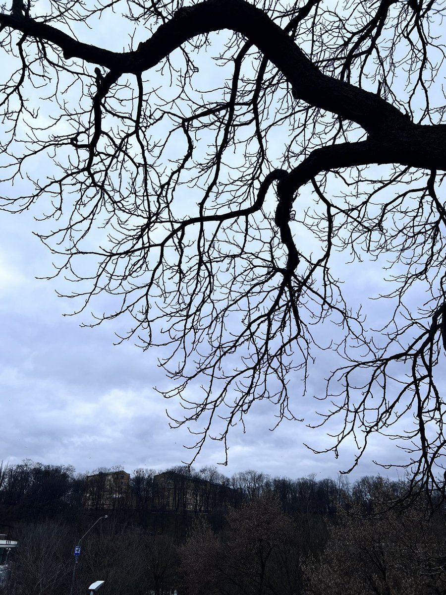 Yaroslava tweet media