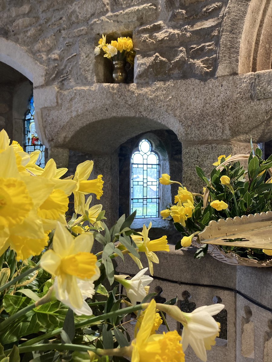 Philip Mounstephen 〓〓 on Twitter "Ten thousand daffodils glowing