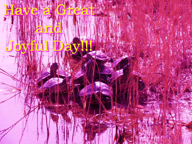 YorgosKC's tweet image. Have a Great and
Joyful Day, everybody!
😁🌞🐢

Today is #turtleday so #turtlewriters will publish a new writing prompt. 

Not really 😏 

A new writing prompt will be published, but because it's Tuesday. (But it is, indeed, #worldturtleday)