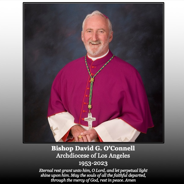 Catholic540AM's tweet photo. Catholic 540-AM Divine Mercy Radio offers our condolences to @lacatholics upon the shooting death of Bishop O'Connell

#bishopdavidoconnell #bishopoconnell #archdioceseoflosangeles #catholic #raleighcatholic #catholic #catholicchurch #prolife #catholicradio #CatholicTwitter https://t.co/ZEP5mte6Te
