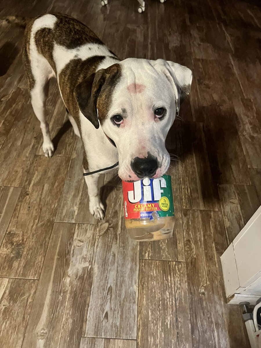 Melissa Cleveland tweet media