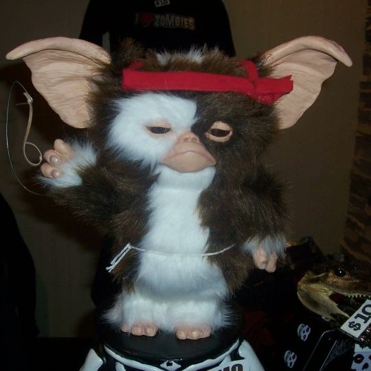 Rambo Gizmo 🤘 https://t.co/GaDG474C9v