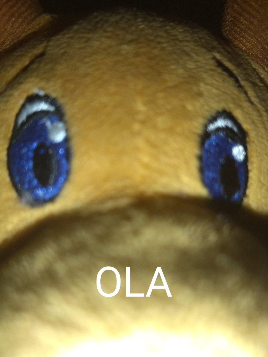 𝕋ℍ𝔼ℝ𝔸ℕ𝕎𝕆𝕃𝔽 tweet media