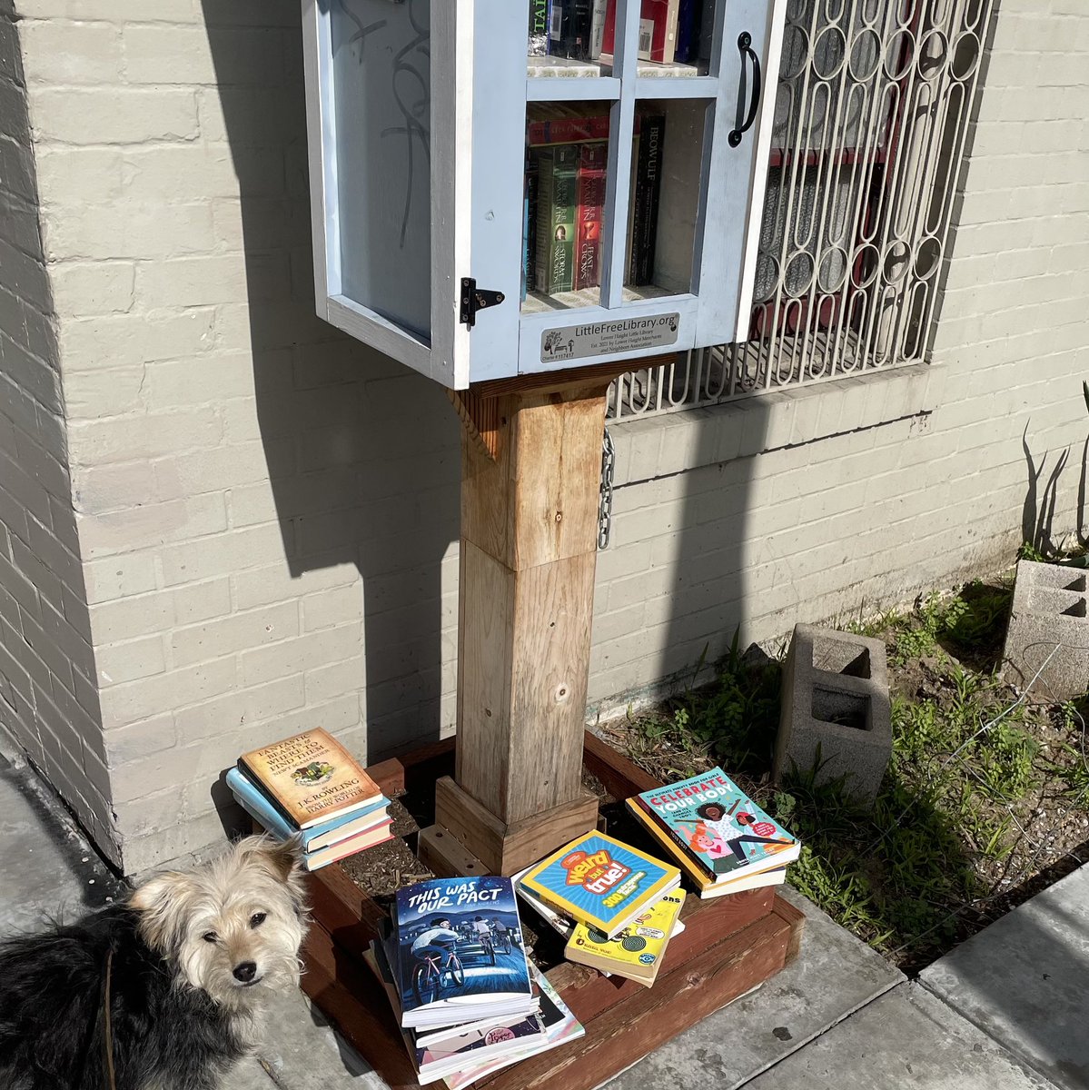 LowerHaightSF's tweet photo. Our #LittleFreeLibrary overflowing with book donations—but 📚 turn over super fast so take one and leave one to keep the good reads going #sundayvibes #lowerhaight #pupsofinstagram https://t.co/OMstI6Mtt1