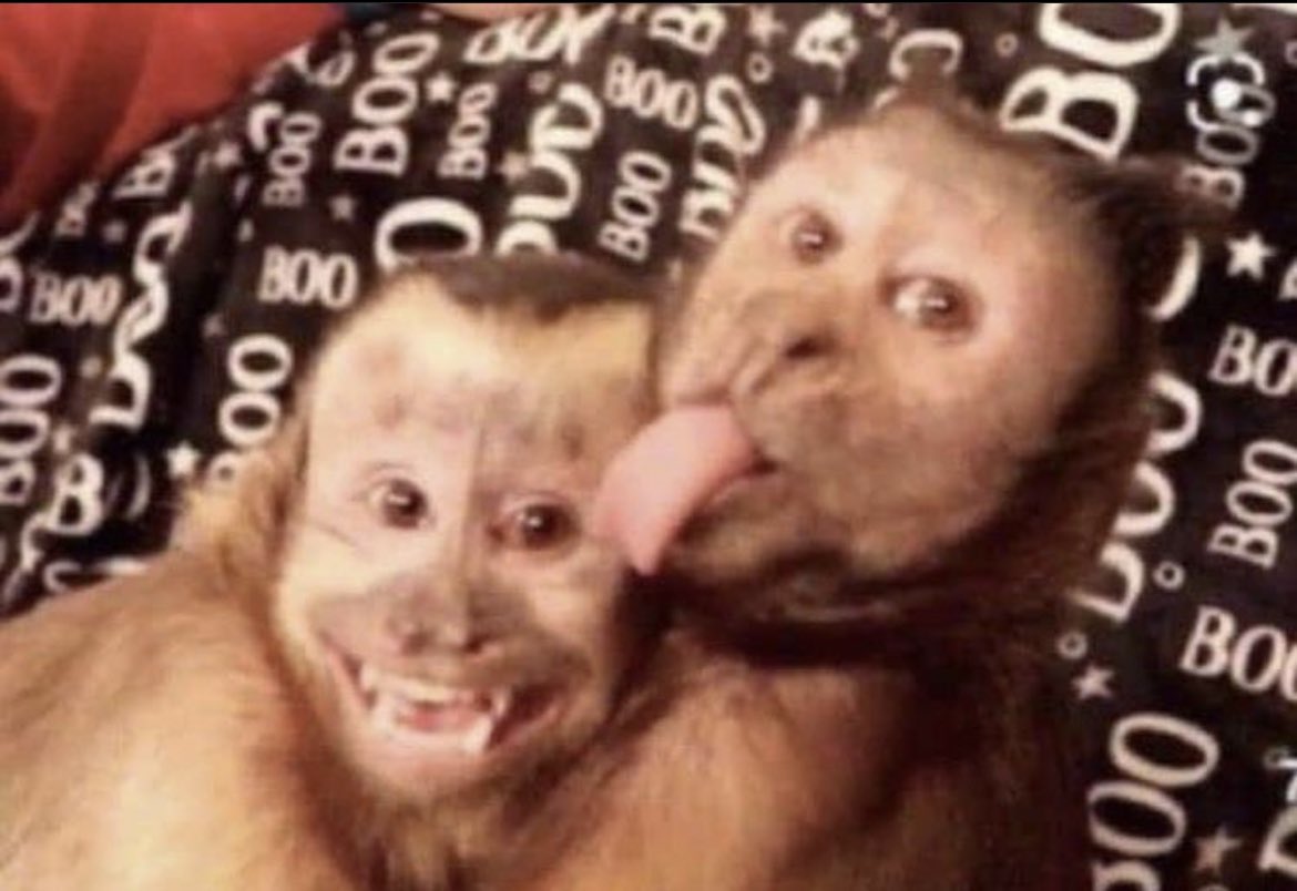 Mi amix y yo cuando nos juntamos