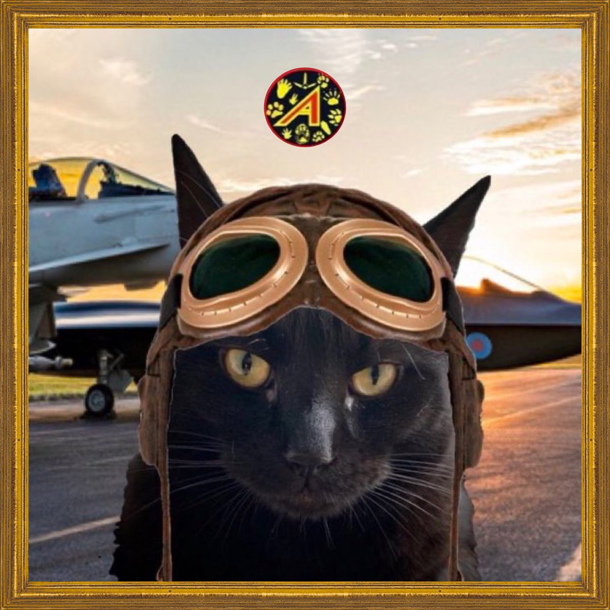 #TheAviators 
🛩️Thanks Captain  Rocky! You are an excellent trainer and Aviator! Pawsome Flightschool! Proud of you buddy!🛩️