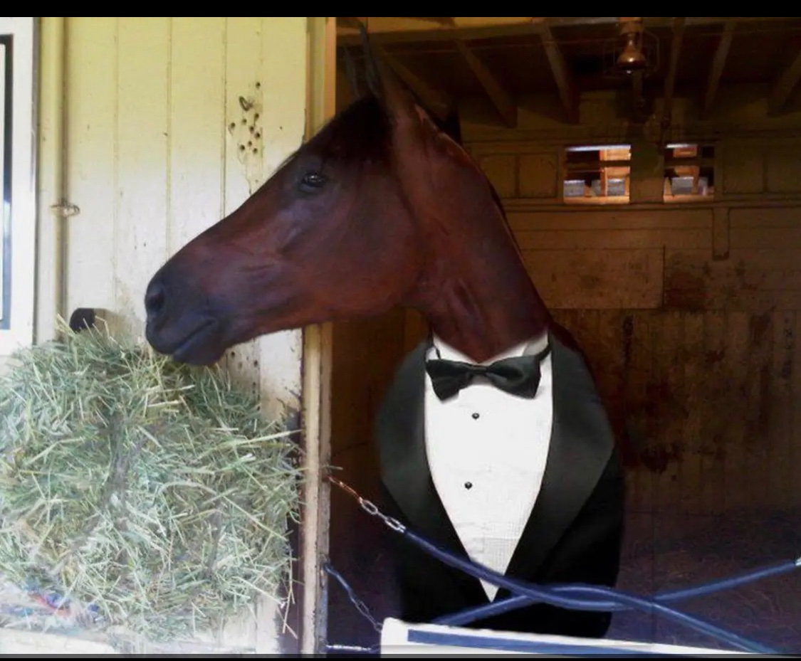 NickSalvi1's tweet photo. Overture, curtains, lights
This is it, you'll hit the heights
And oh what heights we'll hit
On with the show this is it @USHWA_ #DanPatch23 @HarnessRacingFZ https://t.co/9Q2DUXQs0w