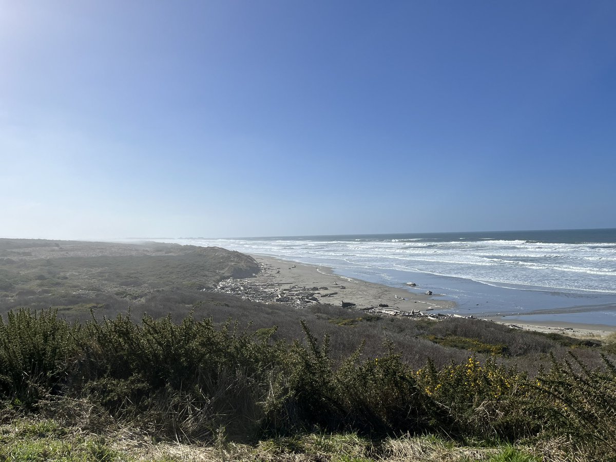 Brian Kruhlak 🇺🇦 tweet media