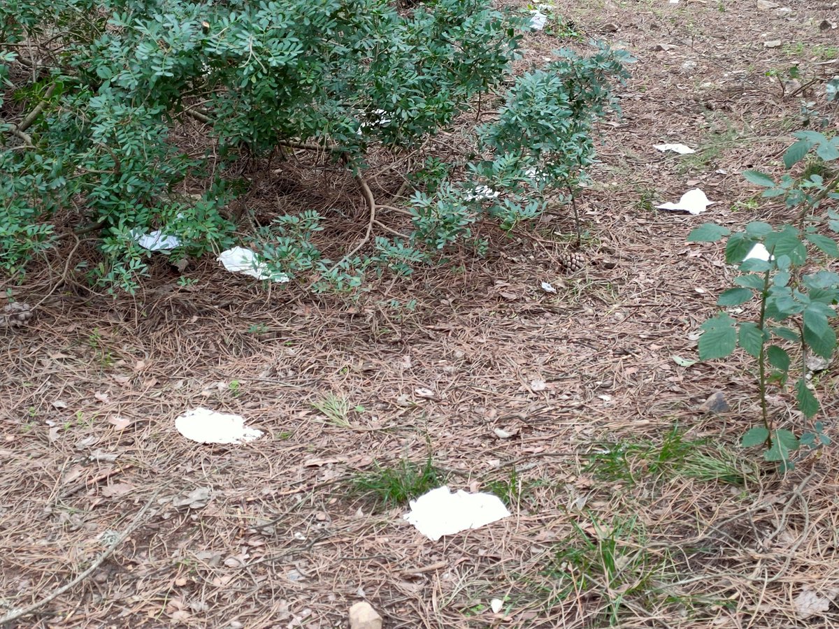 mantulopez's tweet photo. No seáis así de guarr@s, por favor. El campo no quiere vuestros residuos, sean del material que sean.
#Biodesagradable https://t.co/JDt2Q6VERK