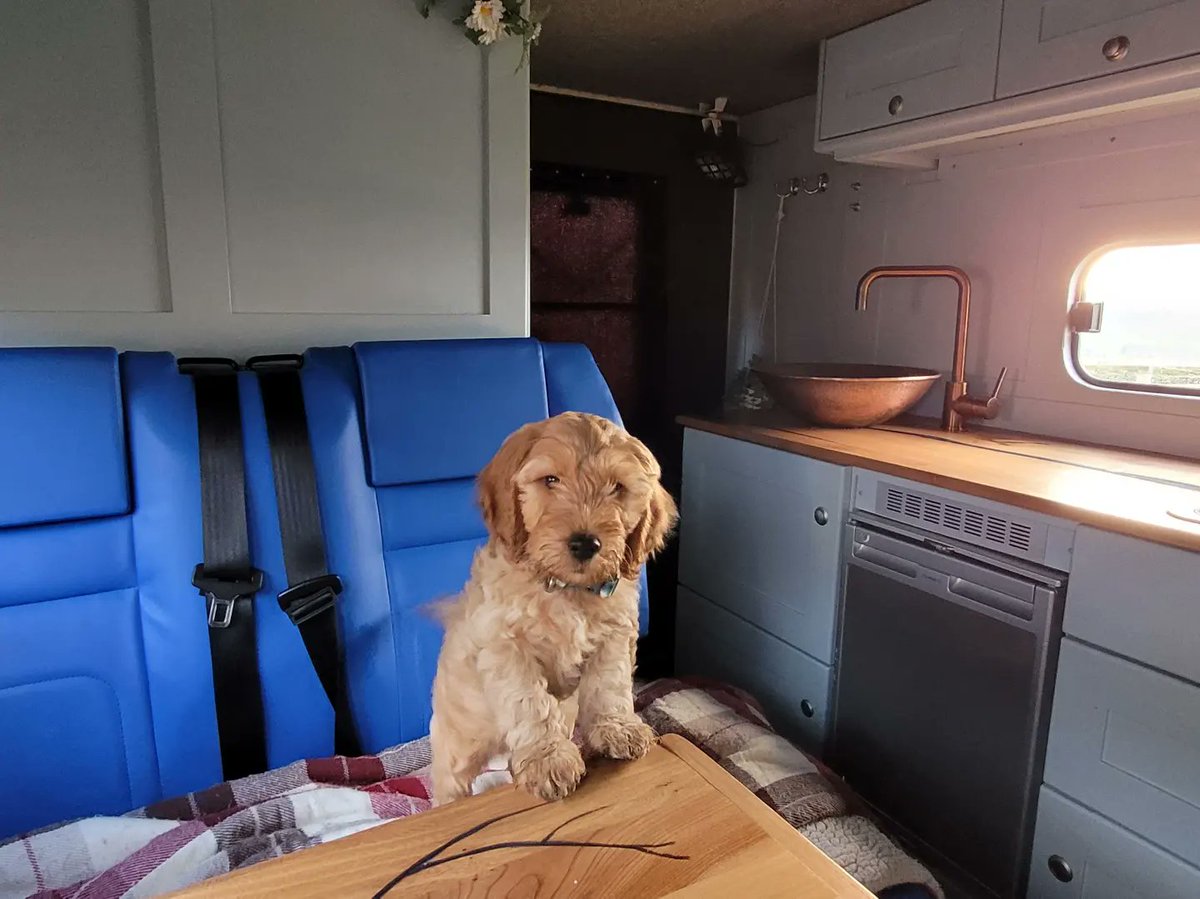 𝗠𝗶𝘀𝘀𝗶𝗻𝗴 𝗛𝗮𝗽𝗽𝘆 𝗩𝗮𝗹𝗹𝗲𝘆?

We're based at the top of the Happy Valley, just a few miles from the main filming locations 💚

Hire one of our campers &amp; head on your #HappyValley roadtrip. 

We'll send you off with tips of the best places to park, camp, eat &amp; visit.