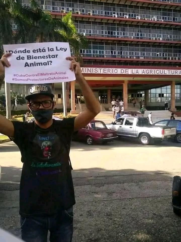 Hace dos años ya de que un grupo de Activistas por los Derechos de los Animales tomará las calles con el apoyo de las redes y exigieran de una vez una Ley que defendiera el bienestar y los derechos de los animales
#NoAlMaltratoAnimal