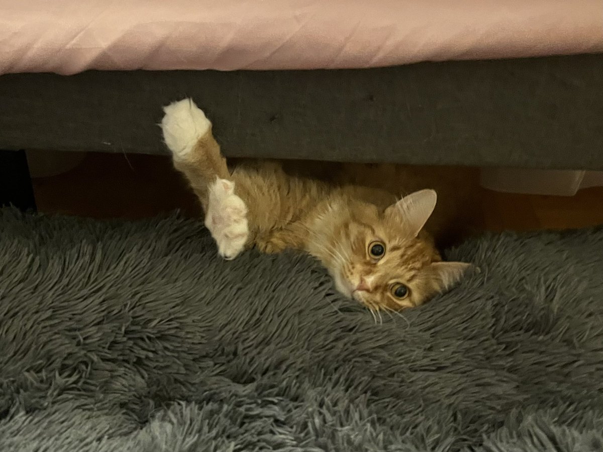 socdarling 🎀 on Twitter "the monster under your bed getting ready to