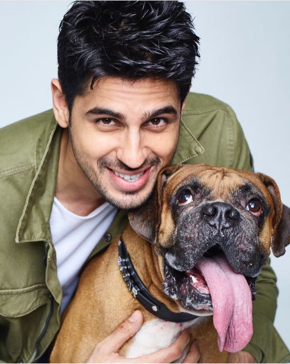 sidz__queen's tweet photo. Happy 1st birthday in heaven my prince Oscar ๐ฅณ๐๐. Party hard in heaven my son and keep protecting @SidMalhotra my angel ๐โค๏ธ๐งฟ
#FirstBirthdayInHeaven #OscarDiaries https://t.co/V06ZAyAdIH