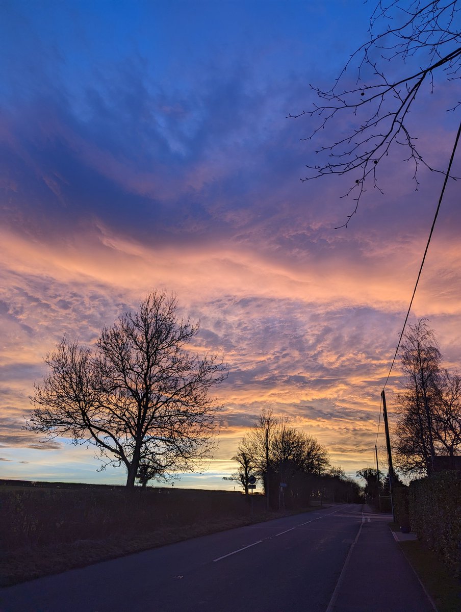 Davidk_1's tweet photo. Lovely sky during one of our last walks with a great friend 🐕 https://t.co/voyXuE1Xy4