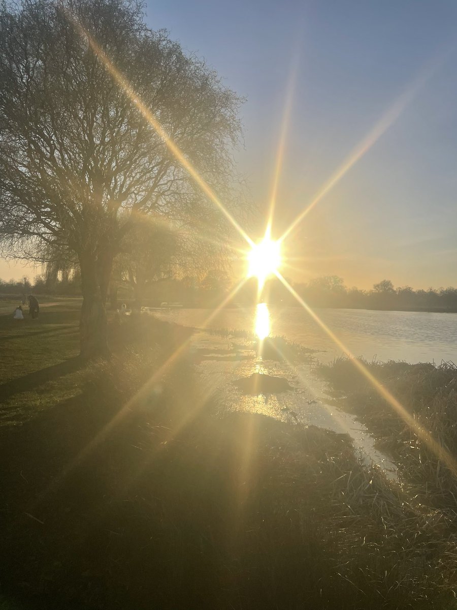 Beautiful bright sun in Bushy Park this afternoon ☀️

#bushypark #photography #sundaydays #landscapephotography #StormHour #ThePhotoHour @theroyalparks