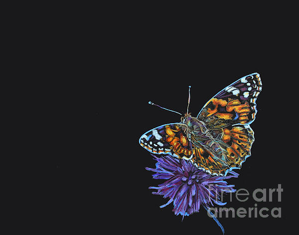 creativecoates's tweet photo. New artwork for sale! - "Monarch Butterfly" - https://t.co/ZnoPbuUMh1 @fineartamerica https://t.co/C1CCXtI3oN