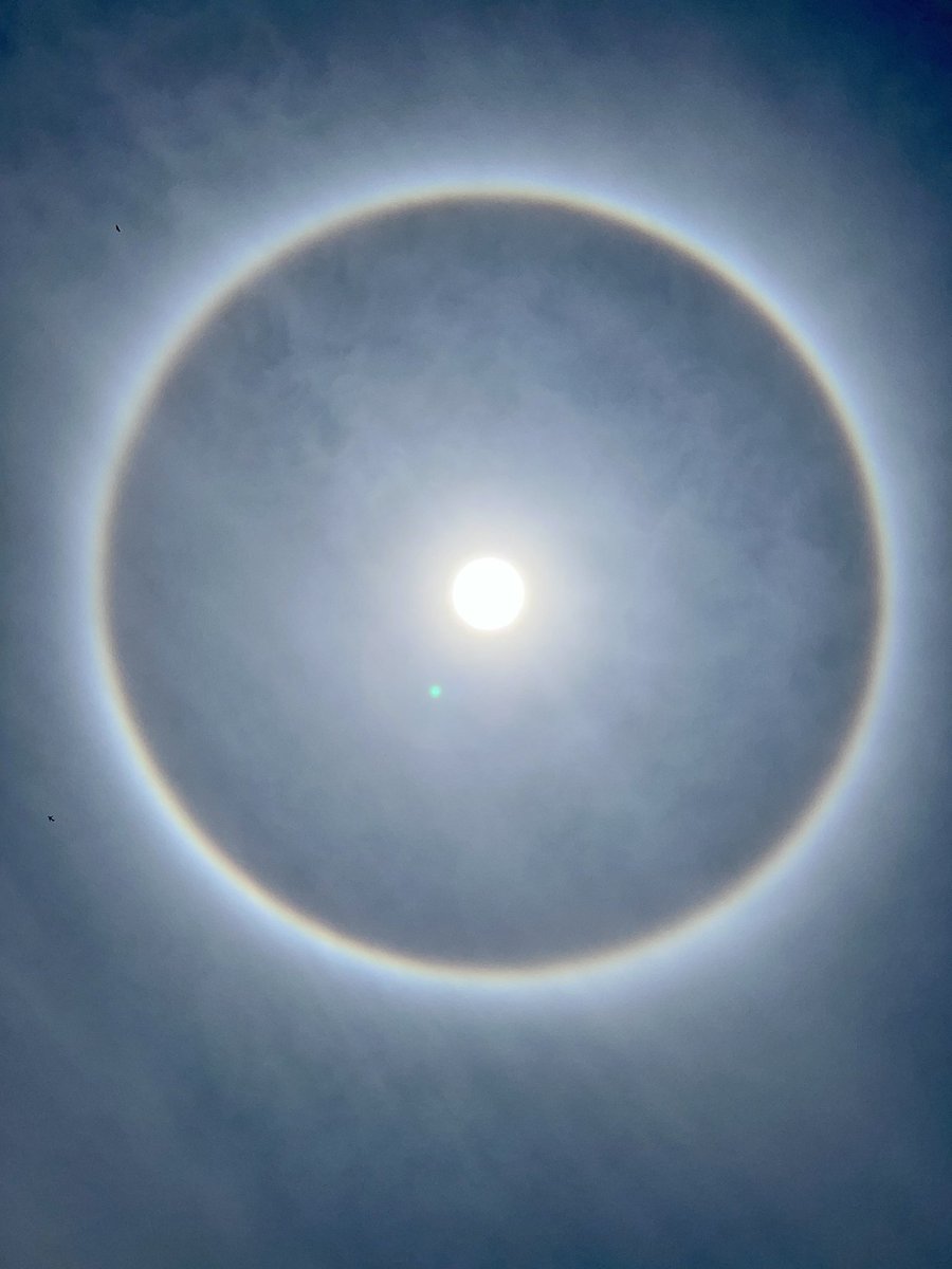 dj_fracaso's tweet photo. Halo solar en Lima. Maravilloso como la sagrada camiseta crema del mรกs grande @Universitario #YdaleU ๐ ๐
#UvsAl #Clasicoperuano #HaloSolar https://t.co/I9jXHEYpUC