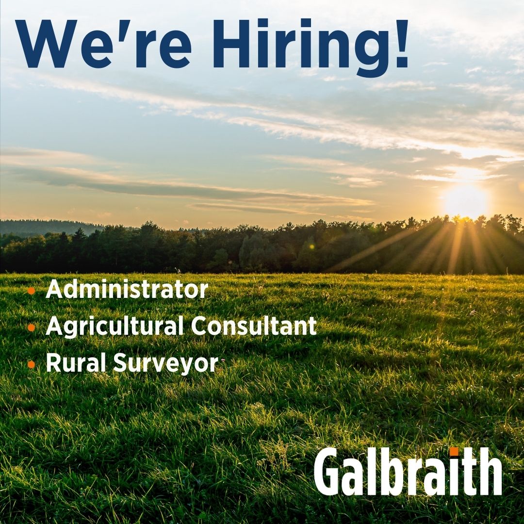 Galbraith_Group's tweet photo. 𝗪𝗲'𝗿𝗲 𝗛𝗶𝗿𝗶𝗻𝗴 🚜

Here at Galbraith we have a number of opportunities to join our thriving 𝗥𝘂𝗿𝗮𝗹 business stream. 

Do we have a role for you? Click here to find out 📲 https://t.co/rczrDoYk8A

#Galbraith | #WeAreHiring | #JobsInRural | @Galbraith_Rural https://t.co/lS1foPHgoU