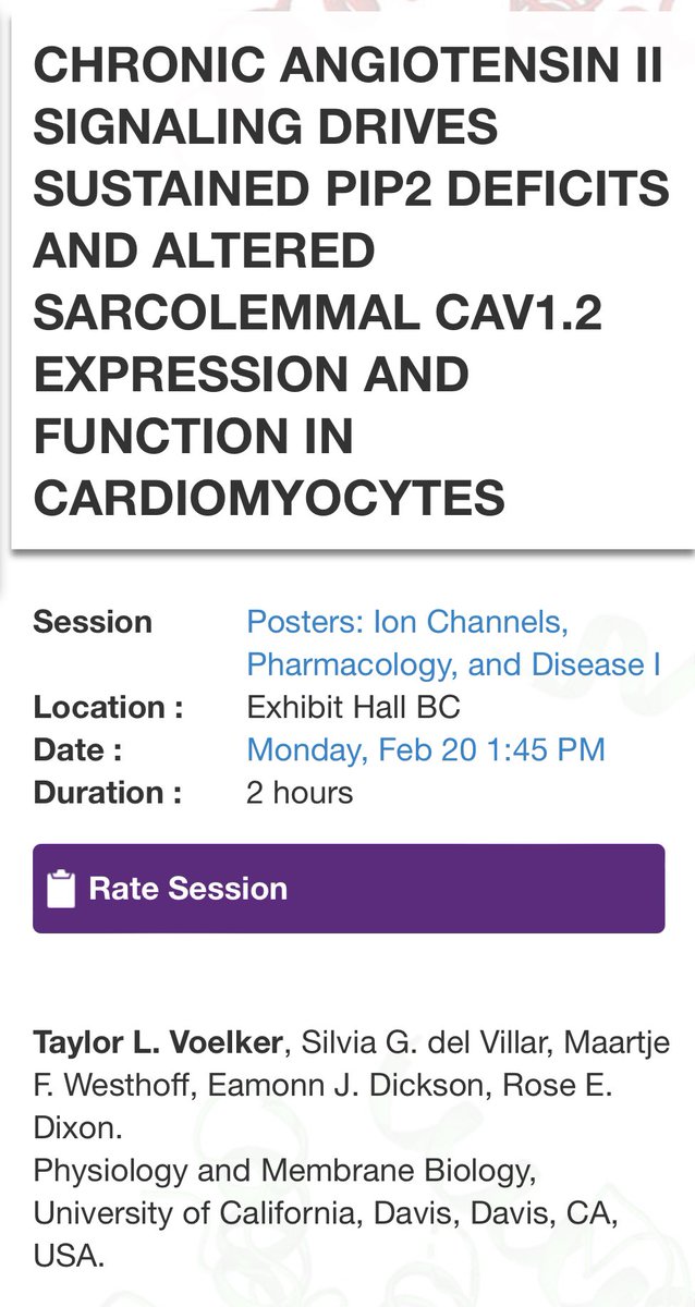 Excited for the next week of science at #BPS2023! Come chat at my poster B360 tomorrow, about my work looking at the effects of chronic angiotensin II signaling on PIP2 and CaV1.2 in cardiomyocytes