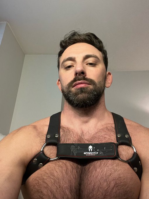 Yeah that&rsquo;s exactly what you think all over my harness 💦🫠 https://t.co/0flFZ8ozOO