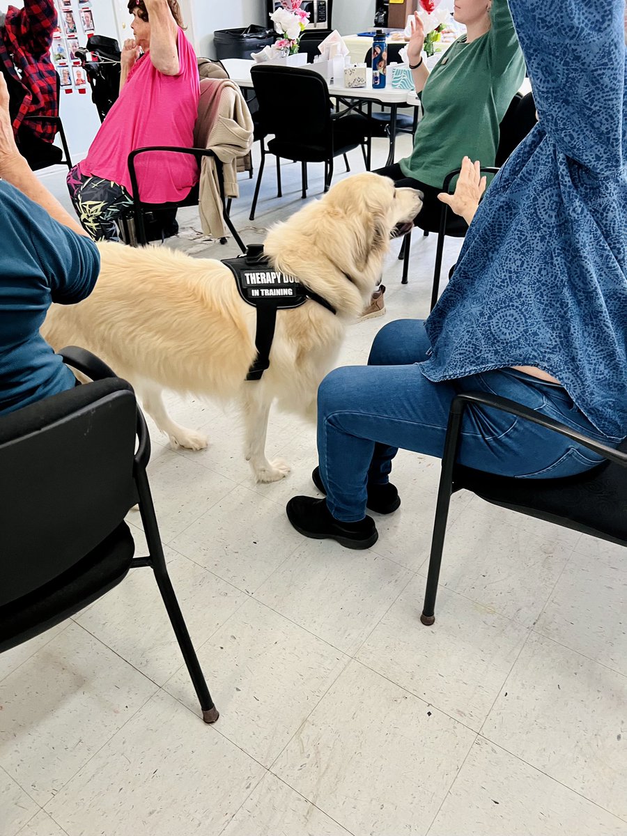 This week’s Chair Warriors was tons of fun. Thank you to the @txextension for facilitating this program and to @decaturlibrary for coming out to provide additional support to our seniors. (And to our doggie mascot, Coco.)