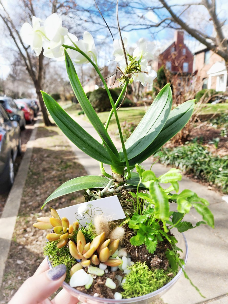 Awesome to see DC come together for a fundraising brunch this morning in support of the Syria-Turkey earthquake victims, proceeds to <a href="/SyrianForumUSA/">Syrian Forum USA</a>. Shoutout to local businesses <a href="/Falafeldc/">Falafel Inc</a>, Asmar's Foods, <a href="/zandzdc/">Z&Z</a>, Mediterranean Bakery, Aya by Samia for their contributions.