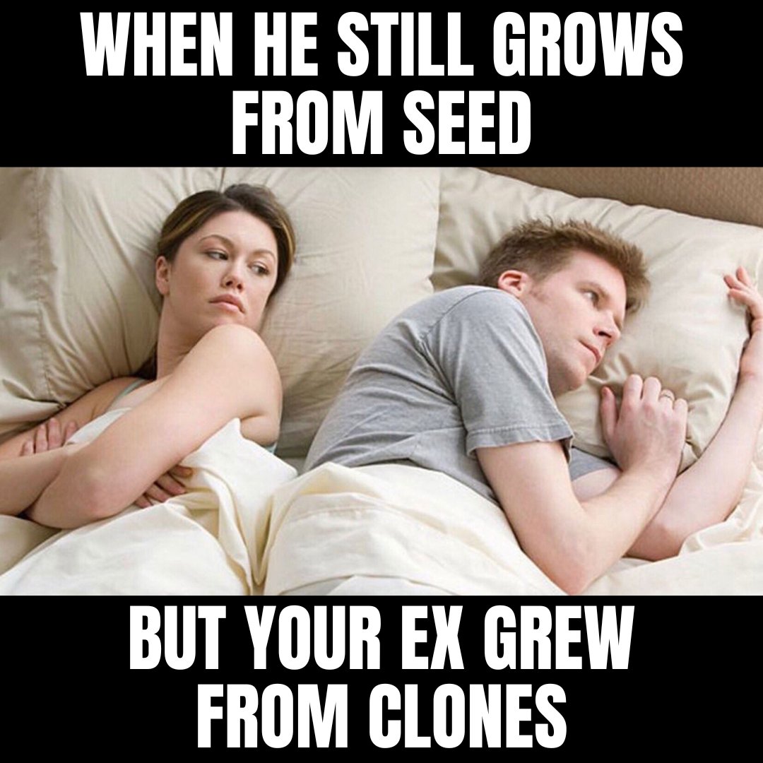 Burning Bush Nurseries - Marijuana Clones & Seeds tweet media