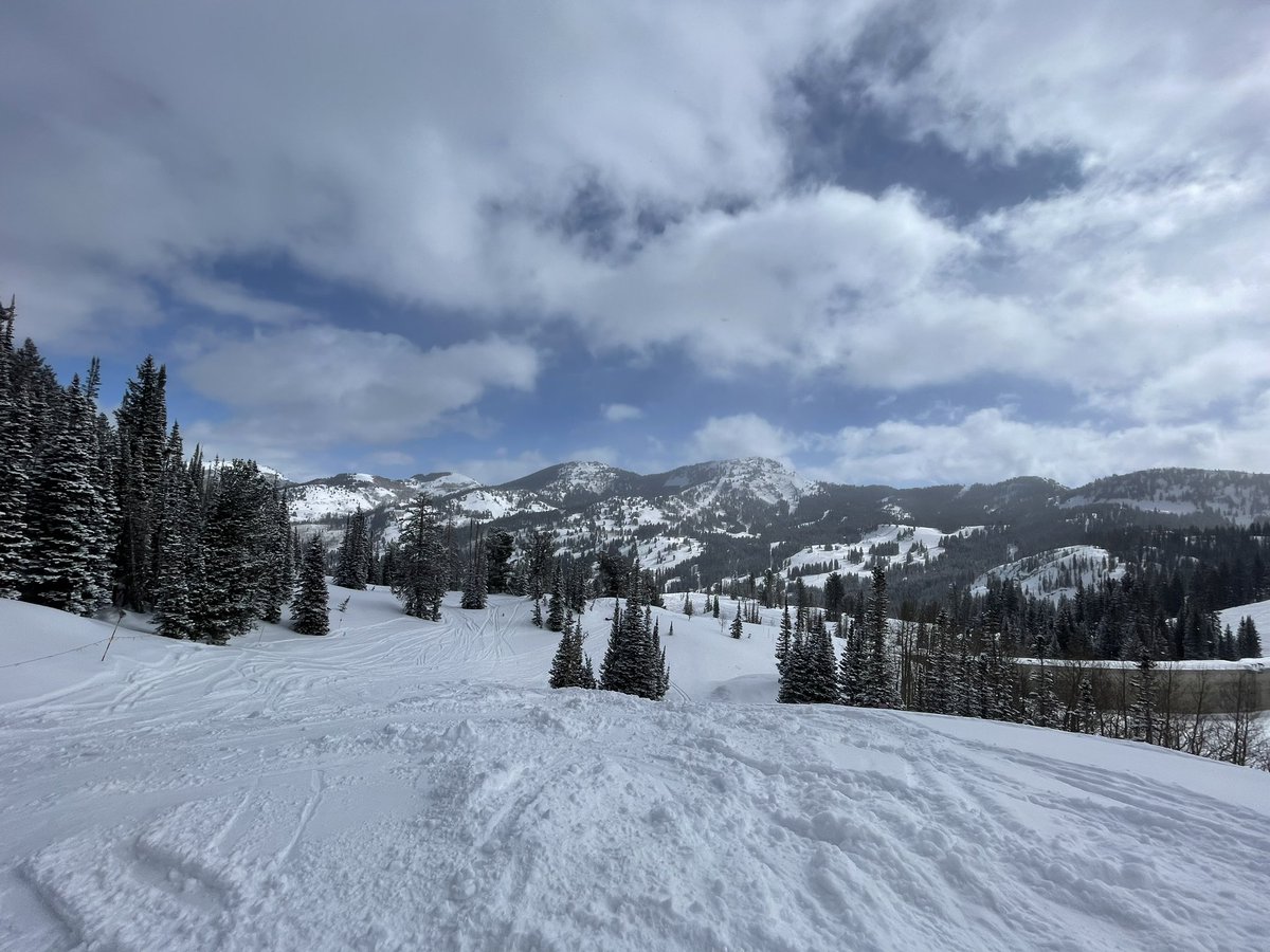 Fresh powder and blue skies. Pressed the nature reset button this morning and couldn’t be happier ⛷️♥️😊