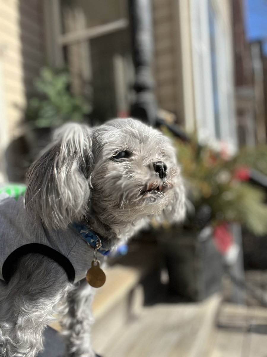 Aussieshell4 tweet media