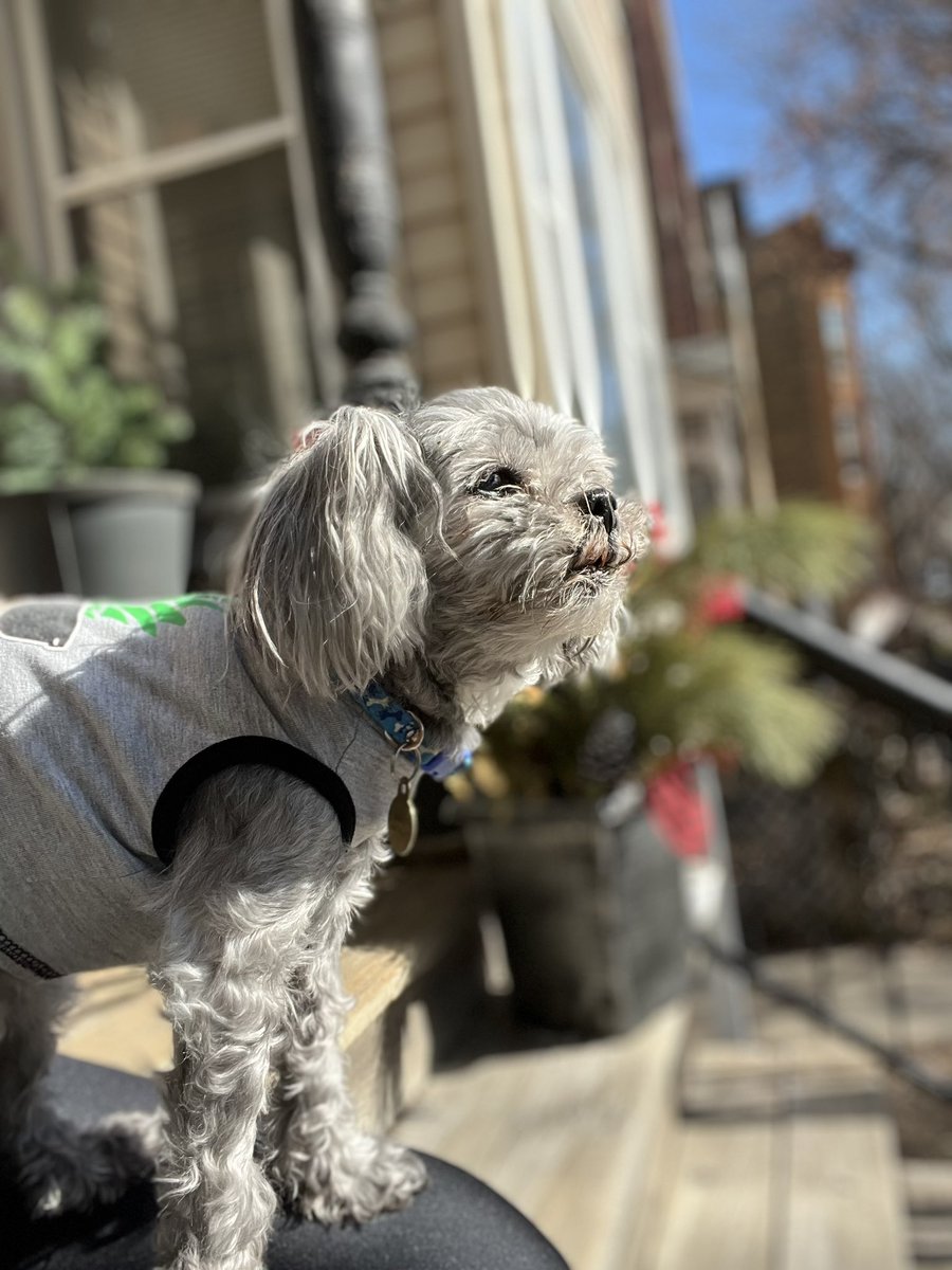 Aussieshell4 tweet media