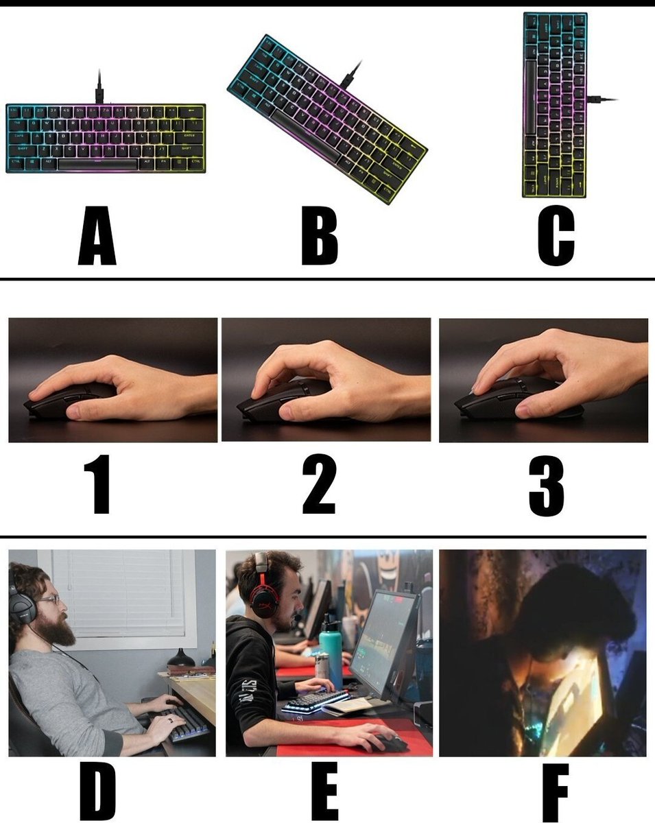 Senshi the Based 💊 tweet media