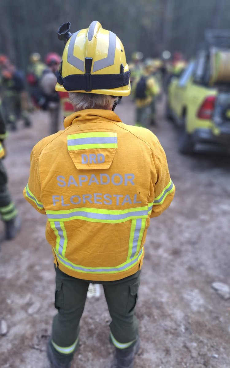 TrexAlto's tweet photo. • Agradecer 👏 o trabalho árduo das equipas de sapadores na preparação rigorosa das parcelas 🪚⛏️
• Os gestores do território comunitário
• Os trabalhadores do município de P. de Coura que tiveram o cuidado de garantir as melhores condições para todos 🍝🛏️

!MUITO OBRIGADO! https://t.co/gigJxeDgak