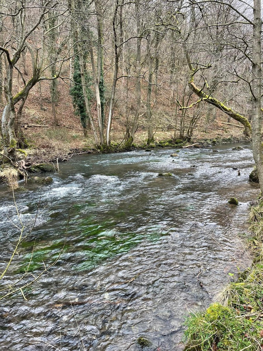 TashaGC's tweet photo. 41.2 miles for this weekโs #NHS1000miles making a total of 184.8 YTD. #RunningWater #CosyFire @LindaChibuzor @mia_morris78 @simbiS1 @yolandamNHS Have a wonderful, stress free week ahead https://t.co/9Bt3OLPyml