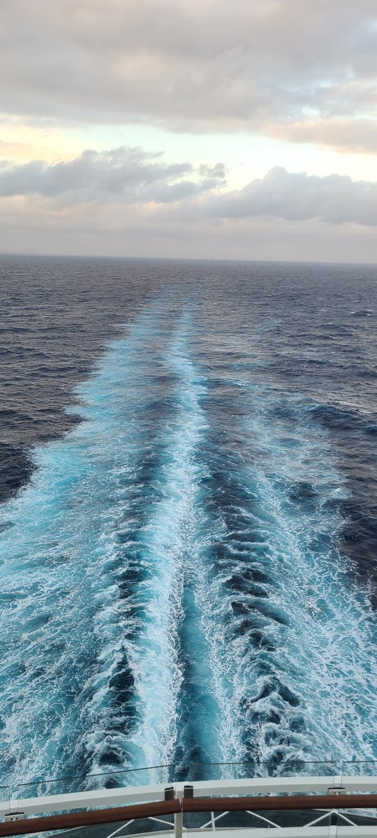 Hubby_to_VaMilf's tweet photo. @swingles True, but it's the sneaky ones which are the best ones to see.  The wife is on a cruise right now. https://t.co/Qhp8eJx8a5
