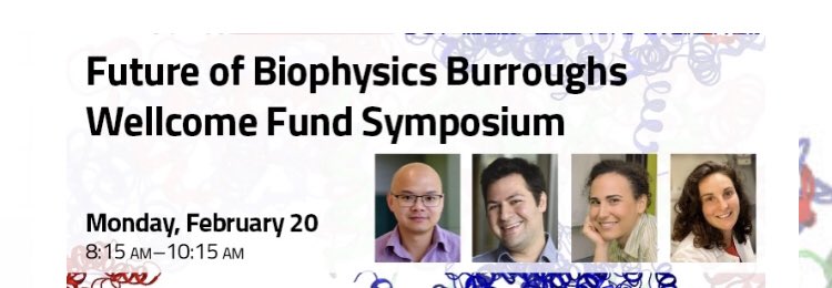 fried_lab's tweet image. First day of #BPS2023 was a wonderful reunion reconnecting with friends at @bioplymrsinvivo subgroup @TarasPogorelov @thedavislab @grocklin. Looking forward to sharing @fried_lab’s work refolding a eukaryotic proteome tomorrow. @BiophysicalSoc @BWFUND.