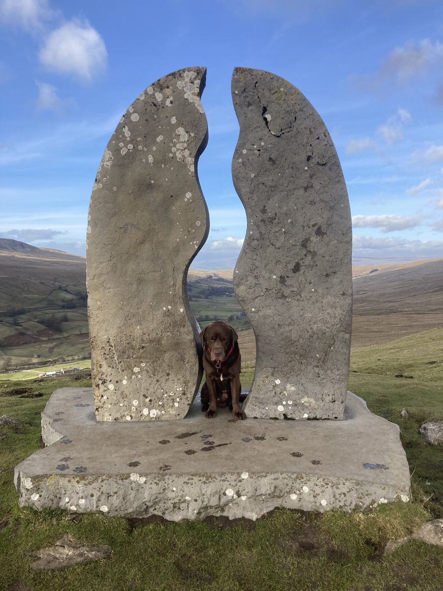Northlakesuk's tweet photo. As far as relaxing winter weekends in the camper go this one was a good one despite the iffy weather I managed to stay dry and cover a good few miles wandering around Mallerstang Dentdale and a wander up to Green Bell in the Howgills #vanlife https://t.co/mr3jLIwYoB