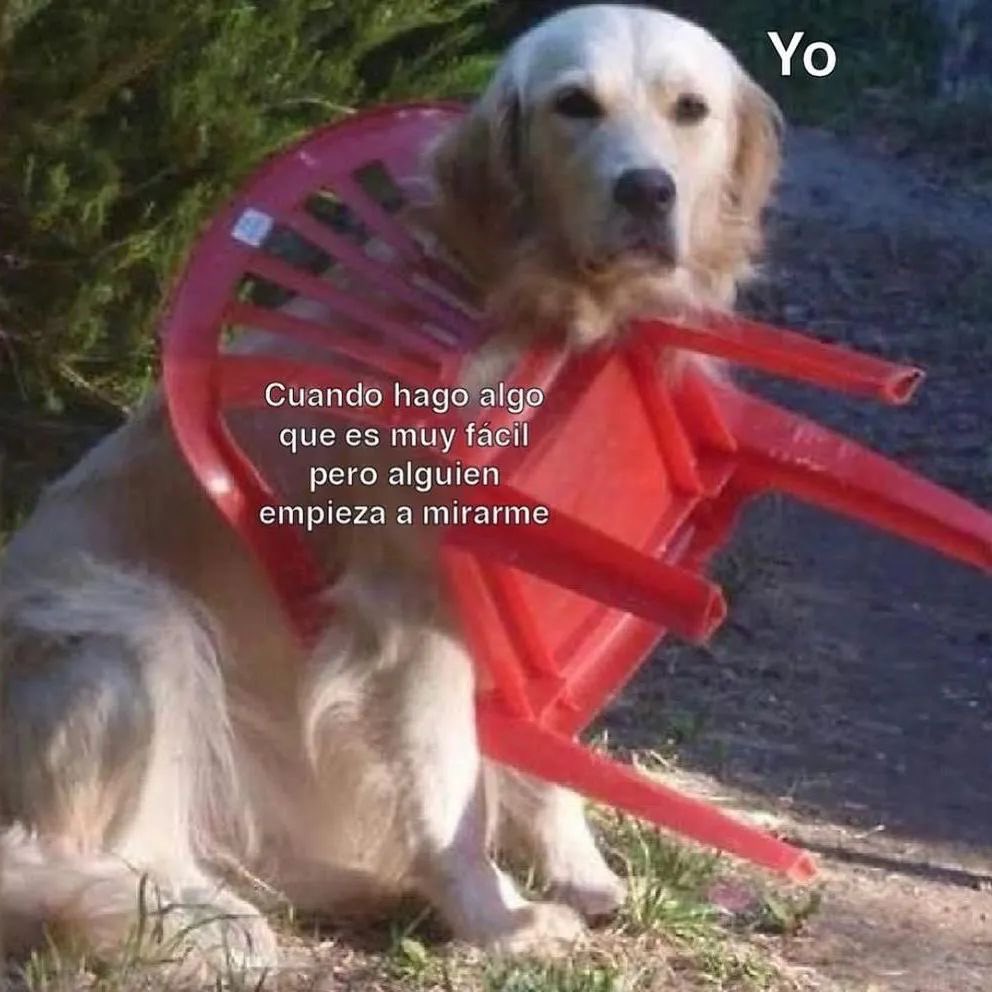 Felipe (@soydavidfelipe_) on Twitter photo 