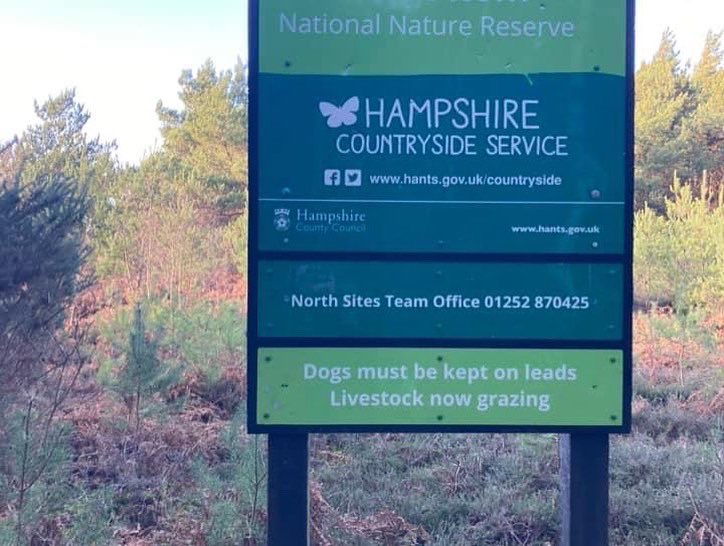 What a beautiful day to visit our #ThamesBasinHeaths #SpecialProtectionArea 
Castle Bottom National Nature Reserve was a popular choice with families and dog owners and it was great to see so many dogs on lead as per signage 👍

@TBHPartnership 
@YCRangers