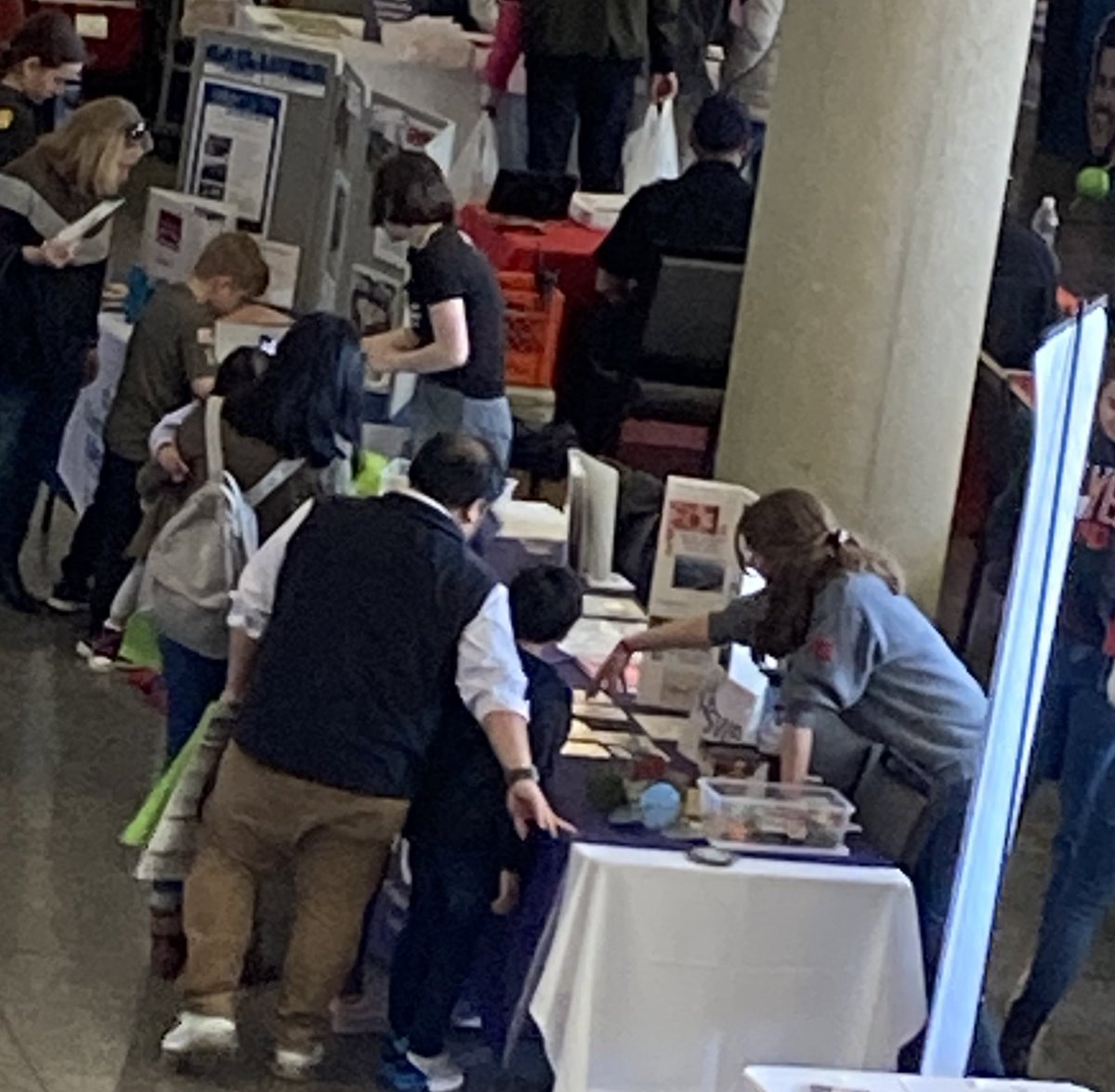 CJ STEMM tweet media