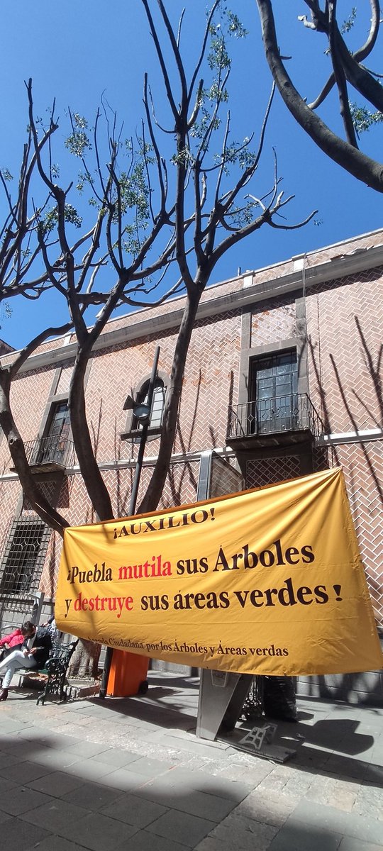 Qu3tzal's tweet photo. ¿cuál va a ser la sanción? ¿cuáles las medidas para que no se repita? ¿Quién sanciona al @PueblaAyto por lavarse las manos? 😡 https://t.co/ExoANyBijO