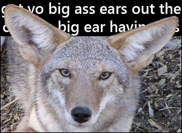 HourlyYote's tweet photo. https://t.co/Yo1Ywfki0l