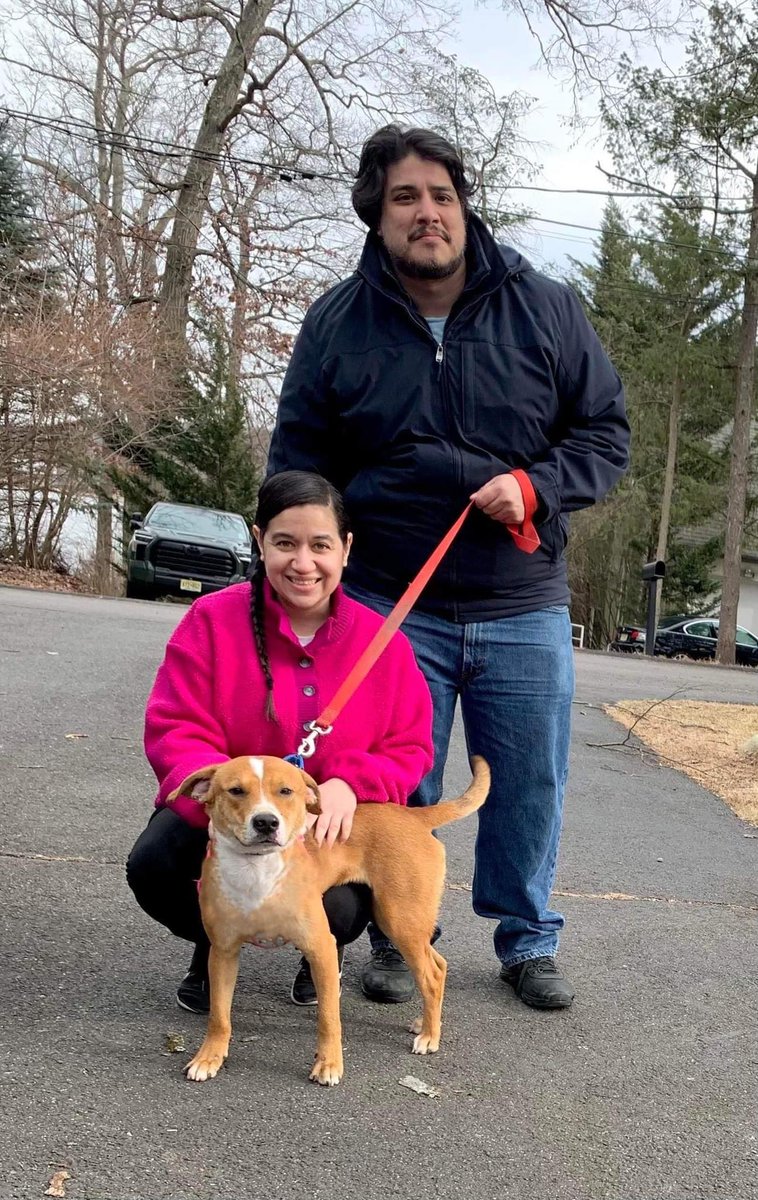 Happy Life Lenny!❤️🐶#AdoptDontShop #dogsoftwitter