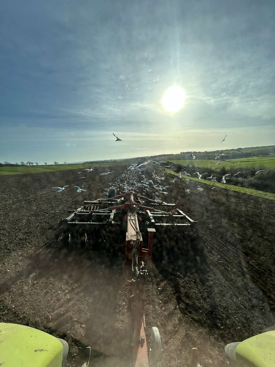 MJTosdevineLTD's tweet photo. Busy preparing ground this weekend for spring drilling next week 🌱 #claas https://t.co/acqwt9TuUo