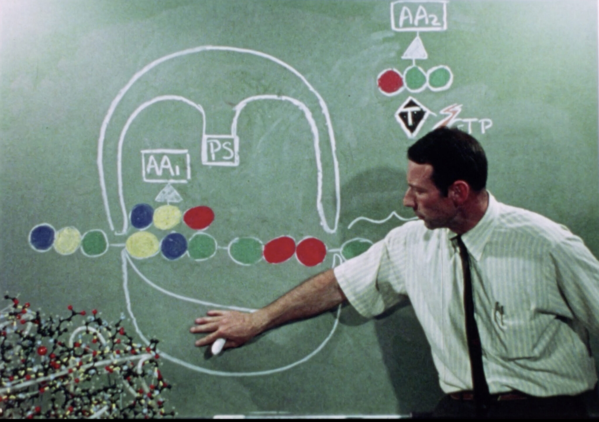 Stanford Medicine on Twitter "Nine years before winning the Nobel