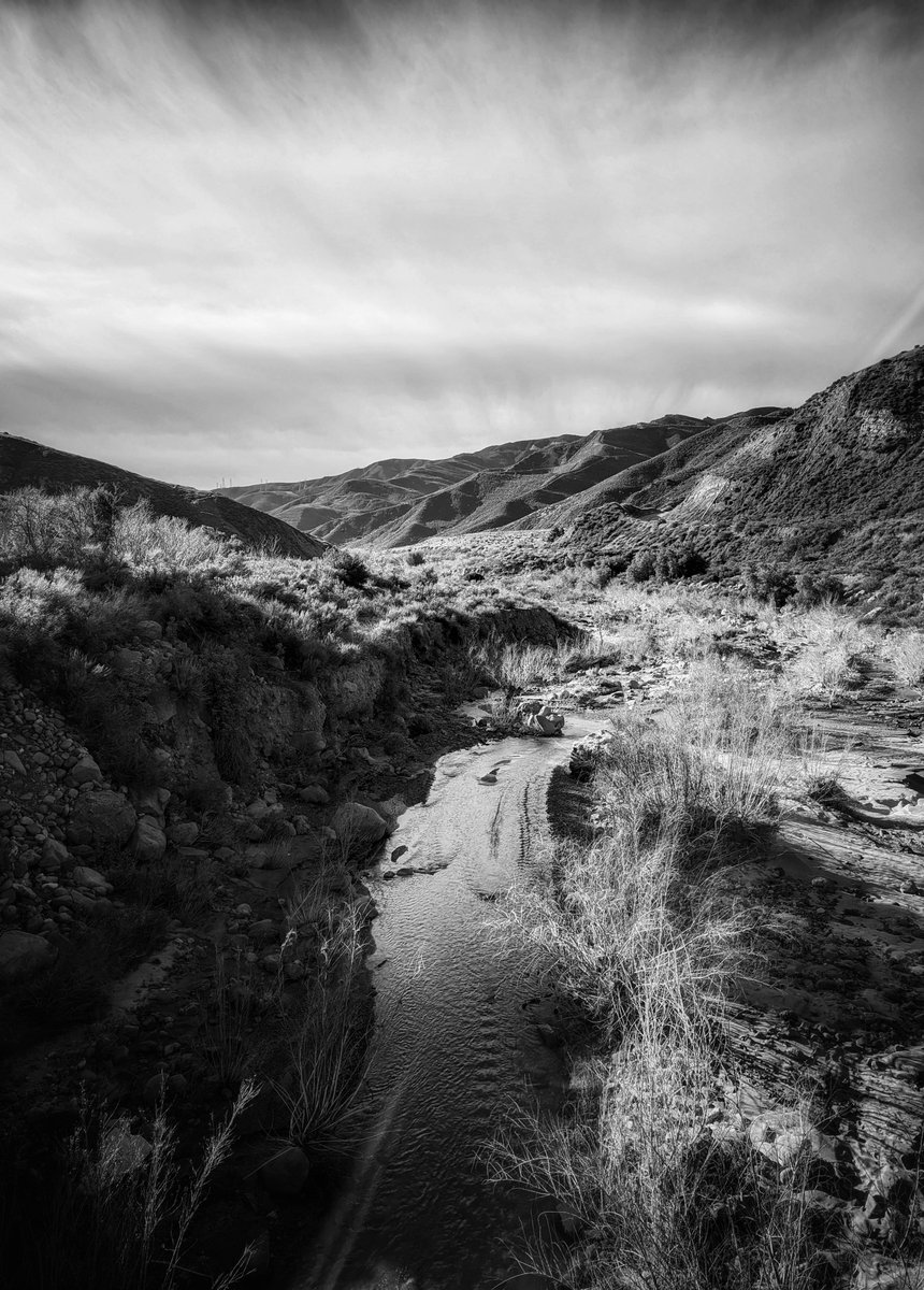 I hope you all have a wonderful Sunday!
•
📷Frank Cruz 🐍