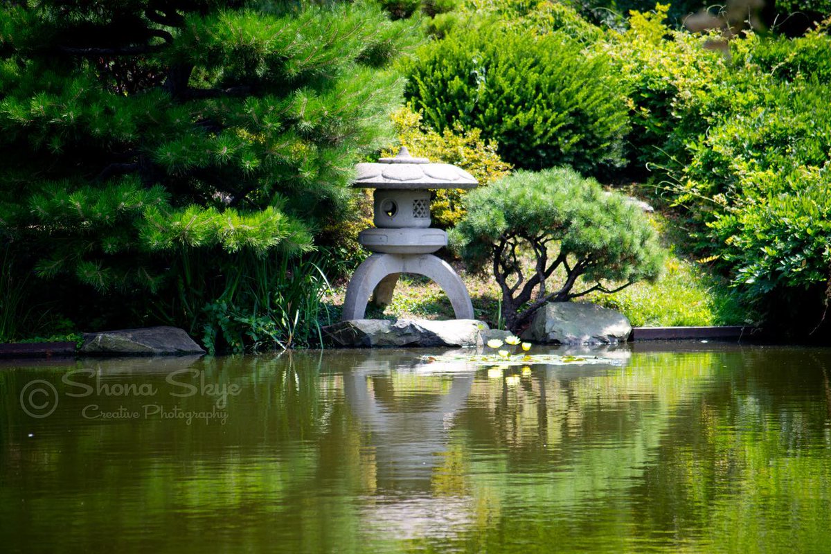 ShonaSkyePhoto's tweet image. Nothing flashy for #SundayFunday - just peaceful, quiet, and calm

#stlart #thephotohour #artphotography #nature #stlartist #water #reflection #stlarts #stlphotographer instagram.com/p/Co20UdLuOII/