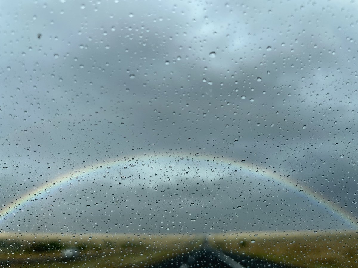crane_elijah's tweet photo. The sights I’ve seen one the same road. https://t.co/W1aP4z9o1t